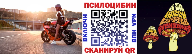 Псилоцибиновые грибы прущие грибы  Новоаннинский 